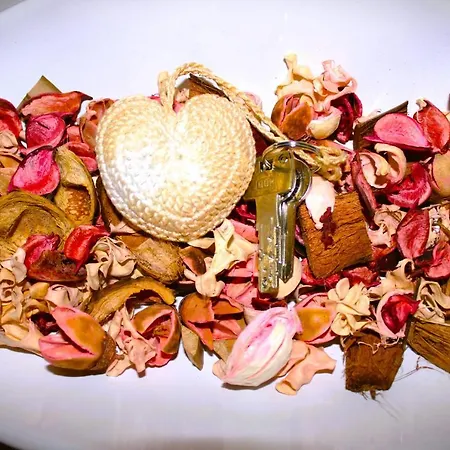 Vomero Parthenope Home-2